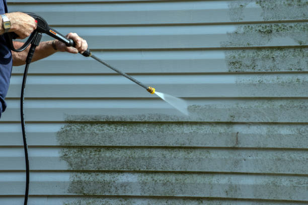 Best Commercial Building Pressure Washing  in Huntington, TX